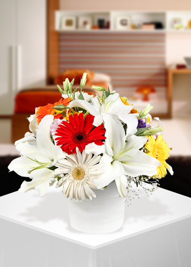 Gerbera ve Lilyumun Buluşması-23