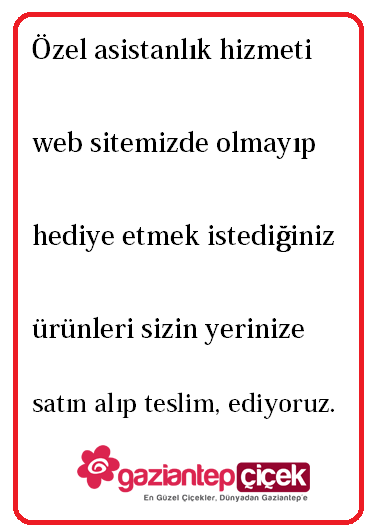 Özel Asistanlık Hizmeti