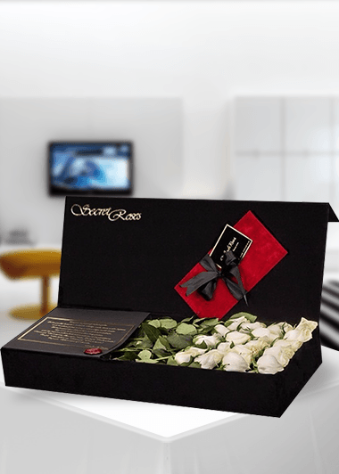 Secret Roses Beyaz