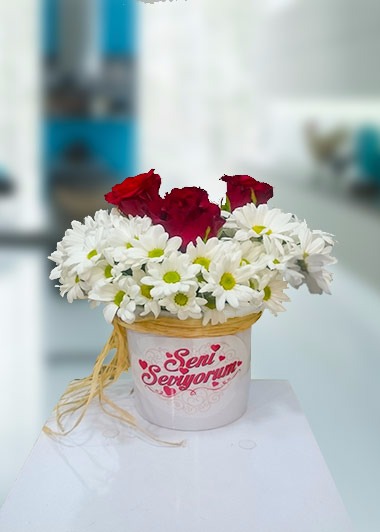 Papatya ve 3 Gül Seni Seviyorum Gaziantep Çiçek Sepeti Siparişi
