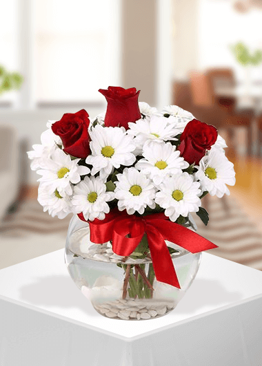 Papatya ve 3 gül Gaziantep Çiçek Sepeti Siparişi